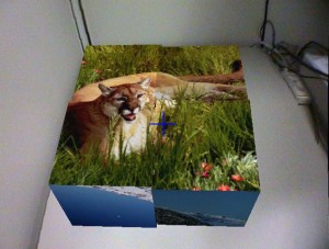 Solved Puzzle Solved Puzzle